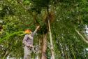 2ª Oficina da Portos do Paraná sobre coleta e despolpa do açaí juçara é realizada no litoral 