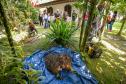 2ª Oficina da Portos do Paraná sobre coleta e despolpa do açaí juçara é realizada no litoral 