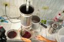 2ª Oficina da Portos do Paraná sobre coleta e despolpa do açaí juçara é realizada no litoral 