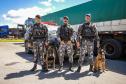 Cães farejadores apoiam Operação Faro no Pátio de Triagem da Portos do Paraná