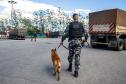 Cães farejadores apoiam Operação Faro no Pátio de Triagem da Portos do Paraná