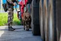 Cães farejadores apoiam Operação Faro no Pátio de Triagem da Portos do Paraná