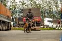 Cães farejadores apoiam Operação Faro no Pátio de Triagem da Portos do Paraná