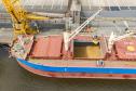 Porto de Paranaguá registra maior operação de cevada em um único navio
