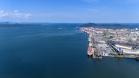 Entre navios e manguezais, biodiversidade de peixes se destaca na Baía de Paranaguá