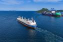 Entre navios e manguezais, biodiversidade de peixes se destaca na Baía de Paranaguá
