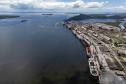 Entre navios e manguezais, biodiversidade de peixes se destaca na Baía de Paranaguá