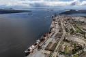Entre navios e manguezais, biodiversidade de peixes se destaca na Baía de Paranaguá