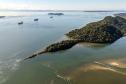 Entre navios e manguezais, biodiversidade de peixes se destaca na Baía de Paranaguá