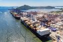 Total exportado em frango foi recorde para os cinco primeiros meses do ano