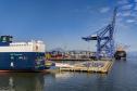 Porto de Paranaguá recebe navios específicos para o transporte de veículos