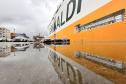 Novas montadoras ampliam o recebimento de automóveis no segundo semestre. Porto realiza desembarque recorde de 6 mil veículos de um navio nessa semana  