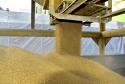Foram descarregadas 41.305 mil toneladas de cevada e fertilizante entre às 7h da manhã de 19 de junho e às 7h do dia 20.