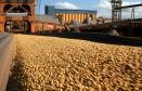 Os produtos agrícolas – especialmente os granéis sólidos – asseguraram a estabilidade nas exportações no Porto de Paranaguá, em 2009: movimento observado, também, no maior complexo portuário do País – o Porto de Santos