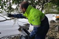 Gestão ambiental da Portos do Paraná recebe prêmio nacional e reconhecimento em eventos da ONU