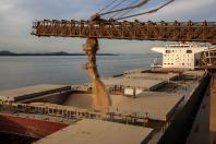 Crescimento de 40%: porto espera carregar 7 milhões de toneladas de grãos e farelos no 1º trimestre