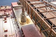Navio carrega quase 108 mil toneladas de farelo de soja e deve quebrar recorde no Porto de Paranaguá