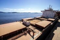 Porto de Paranaguá registra maior embarque diário de granéis