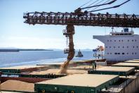 Porto de Paranaguá registra maior embarque diário de granéis
