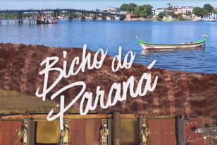 #ParaQuemNaoPodeVer Na fotografia, há uma montagem com uma paisagem que combina elementos de terra e água. No lado esquerdo, há uma área com contêineres coloridos e, no lado direito, um rio ou lago com uma cidade ao fundo. No centro da imagem, há um barco com a inscrição "Bicho do Paraná" escrita em letras grandes e brancas sobre a água.