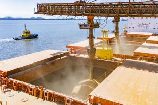 Imagem de um navio sendo carregado com grãos.  No centro, um grande equipamento metálico laranja e amarelo, com tubulações grossas, descarrega um fluxo contínuo de grãos claros para dentro do porão aberto do navio.  A boca do porão é bem grande e retangular, com paredes internas metálicas também em tom amarelado pela poeira.   Ao fundo, além do casco claro do navio, há a superfície do mar em tom azul, ocupando grande parte da lateral da imagem.