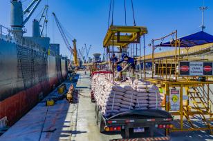 Quatro navios foram carregados simultaneamente com açúcar ensacado e a granel; movimento intenso deve seguir até outubro