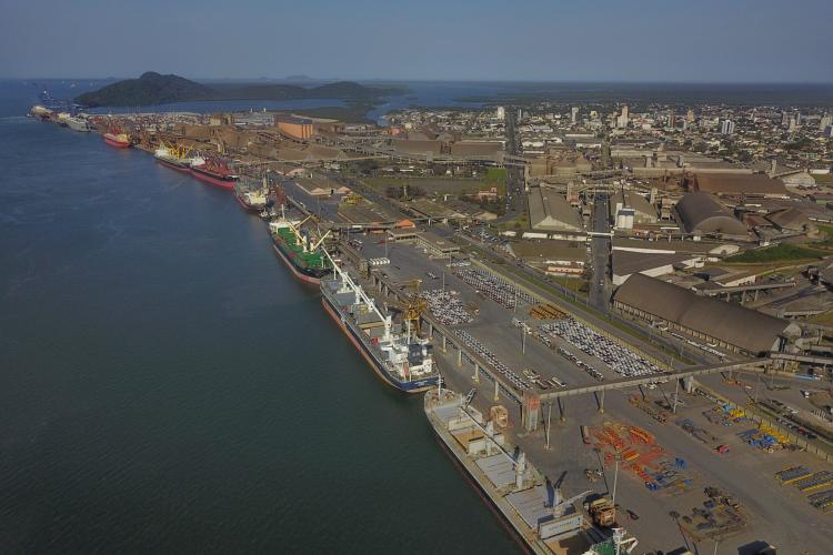 Nova área para celulose