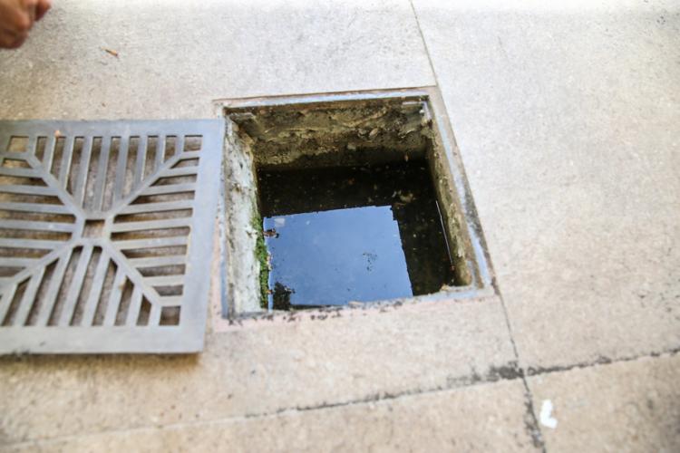 Paranaguá e Antonina apresentaram alta nos casos e a Secretaria de Estado da Saúde classifica a situação como epidêmica. Para combater a proliferação do mosquito transmissor da doença, a empresa pública Portos do Paraná mantém ações constantes de cuidado e prevenção.