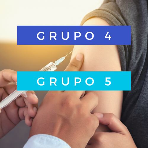 grupo 4
