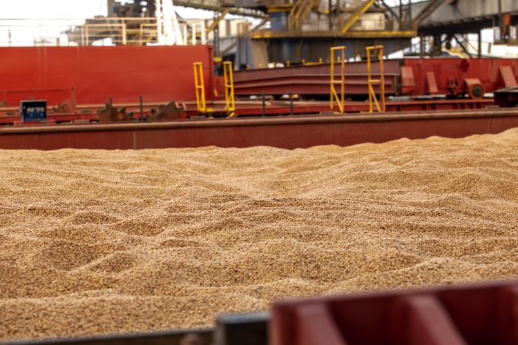 Em 2022, 58.399.109 toneladas de cargas foram carregadas e descarregadas pelos portos de Paranaguá e Antonina. O volume é 1,53% maior que o registrado em 2021, o maior registro anterior ( 57.519.879 toneladas).