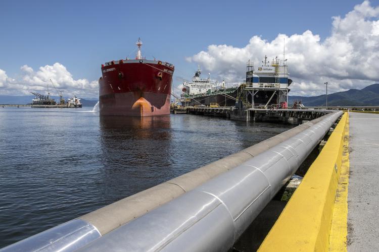 Portos do Paraná movimentam 4,2 milhões de toneladas em janeiro, recorde para o mês