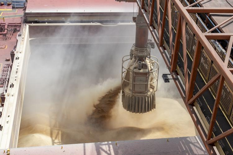 Movimentação portuária do Estado está maior tanto na comparação mensal quanto anual