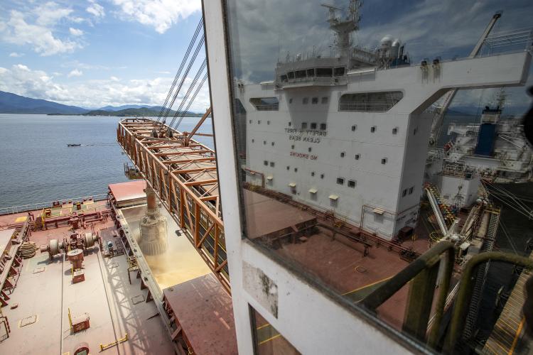 Movimentação portuária do Estado está maior tanto na comparação mensal quanto anual