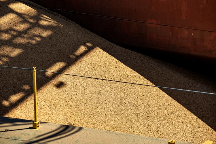 Em volume e performance, aumentam as exportações pelo Corredor Leste do Porto de Paranaguá