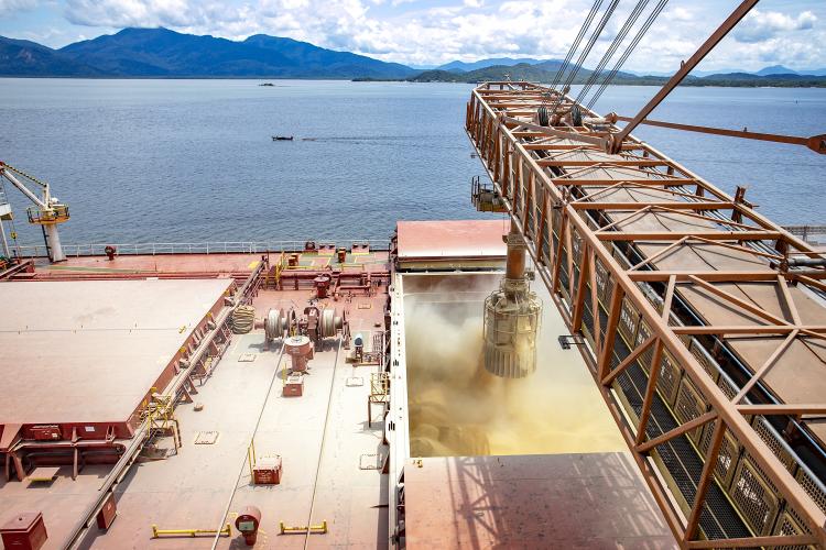 Portos do Paraná registra maior movimentação mensal da história em maio de 2023