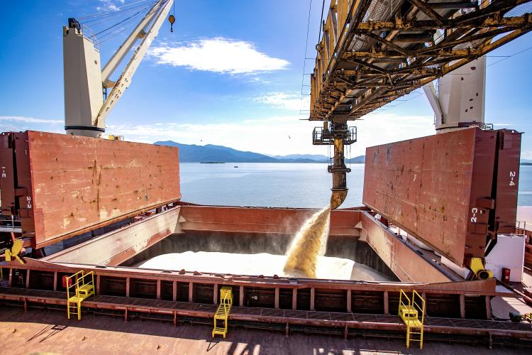 Exportação de açúcar a granel pelos portos paranaenses cresce 119%