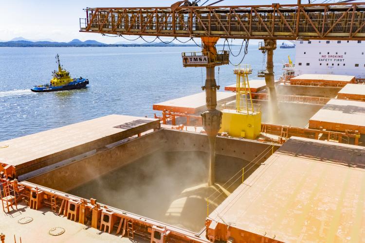 Imagem de um navio sendo carregado com grãos. No centro, um grande equipamento metálico laranja e amarelo, com tubulações grossas, descarrega um fluxo contínuo de grãos claros para dentro do porão aberto do navio. A boca do porão é bem grande e retangular, com paredes internas metálicas também em tom amarelado pela poeira. Ao fundo, além do casco claro do navio, há a superfície do mar em tom azul, ocupando grande parte da lateral da imagem.