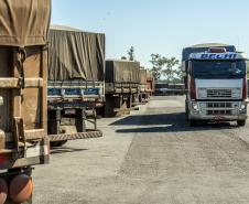 De janeiro a novembro deste ano foram embarcadas 5,49 milhões de toneladas do grão. No mesmo período de 2018 o volume somou 911,3 mil toneladas. A quantidade também é maior do que a registrada nos cinco anos anteriores. 