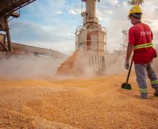O Porto de Paranaguá alcançou na madrugada desta terça-feira (31) a marca de 53.098.566 toneladas de produtos movimentados. O número, que deve aumentar ao longo do dia, já supera o recorde do ano passado, quando foram 53.029.221 toneladas. Em Antonina, as movimentações somaram 908.377 toneladas e são 17% maiores que em 2018