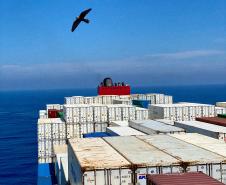 Viajante se aventurou com o marido e atravessou o Atlântico num navio porta contêiner