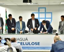  partir desta quinta-feira (27) a Klabin passa a administrar espaço para cargas de celulose. Empresa deve investir até R$ 130 milhões no terminal. 