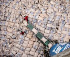 É líder na exportação de óleo vegetal e frango congelado, tem a maior capacidade em contêineres do país. É o segundo porto brasileiro na exportação de soja, farelo, açúcar, papel, carnes, álcool e veículos. 