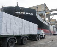 O Penguin Arrow veio receber o 2° maior lote de celulose já embarcado pela Klabin no Porto de Paranaguá: 45.758 toneladas, que irão para a China. Mas não é só isso...Em um dos porões, a embarcação traz malte. Então, o carregamento da carga geral e a descarga do granel ocorrerão de forma simultânea, em algum momento da operação que deve levar cerca de três dias.