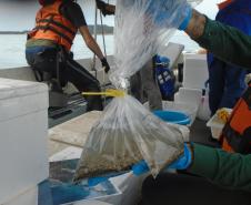Pandemia da COVID-19 não prejudicou as operações nos Portos do Paraná e o cuidado com a natureza continua. Todos os programas que envolvem as licenças para o funcionamento dos portos de Paranaguá e Antonina foram mantidos e, nas últimas semanas, a empresa pública que administra a atividade portuária no Estado realizou uma série de ações de cuidado com a vida marinha