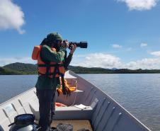 Pandemia da COVID-19 não prejudicou as operações nos Portos do Paraná e o cuidado com a natureza continua. Todos os programas que envolvem as licenças para o funcionamento dos portos de Paranaguá e Antonina foram mantidos e, nas últimas semanas, a empresa pública que administra a atividade portuária no Estado realizou uma série de ações de cuidado com a vida marinha