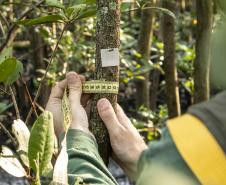 Profissionais atuam nos programas na área de Meio Ambiente, nos portos de Paranaguá e Antonina. A empresa pública mantém 20 iniciativas de monitoramento e conservação e é reconhecida internacionalmente pelas ações de cuidado com a sustentabilidade.