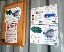 O cuidado com animais marinhos que vivem na área dos portos de Paranaguá e Antonina é o tema de uma nova campanha da Portos do Paraná. A empresa pública, em conjunto com a Cia Ambiental, desenvolveu uma cartilha para orientar embarcações sobre como agir ao encontrar grupos de botos-cinza durante a navegação.