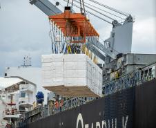 Aumento no volume de cargas importadas e exportadas também aparece no acumulado do ano. Nos noves meses, 43,8 milhões de toneladas – 10% a mais que o registrado em 2019, no mesmo período. 