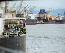 Otimização do uso do espaço de acostagem reflete positivamente em toda a comunidade portuária e agentes envolvidos nas operações. Manutenção do ritmo é possível graças aos investimentos contínuos em infraestrutura e aos esforços da comunidade e dos trabalhadores portuários. 