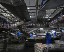Mesmo com pandemia, indústria alimentícia paranaense cresce 9,4% no ano